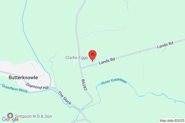 Clarks Eggs