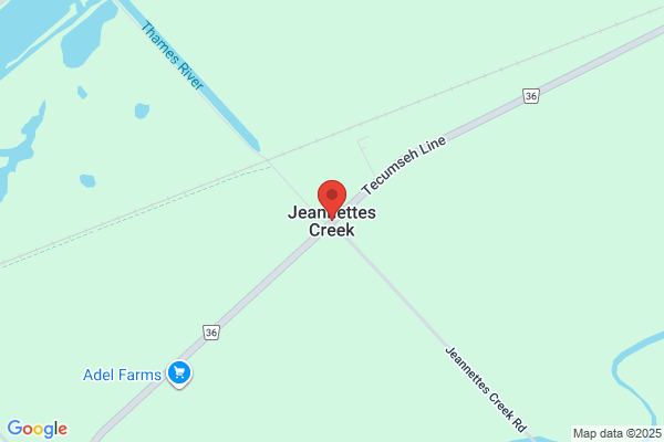 Jeannettes