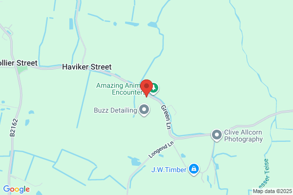 collier Street caravans