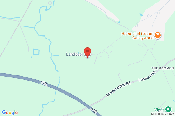 Landseer