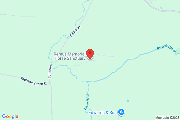 Remus Memorial Horse Sanctuary