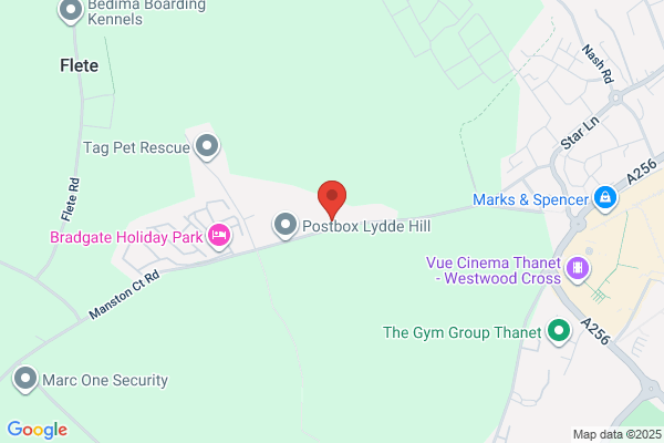 Pest Check (Manston)