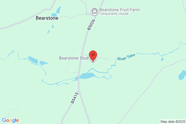 Bearstone Stud