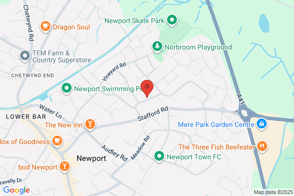 Newport Tree Service