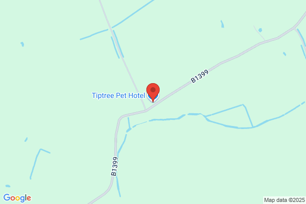 Tiptree Pet Hotels