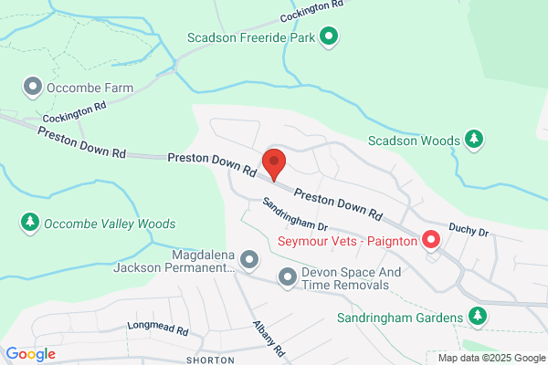 Occombe House For Adults With Learning Difficulties