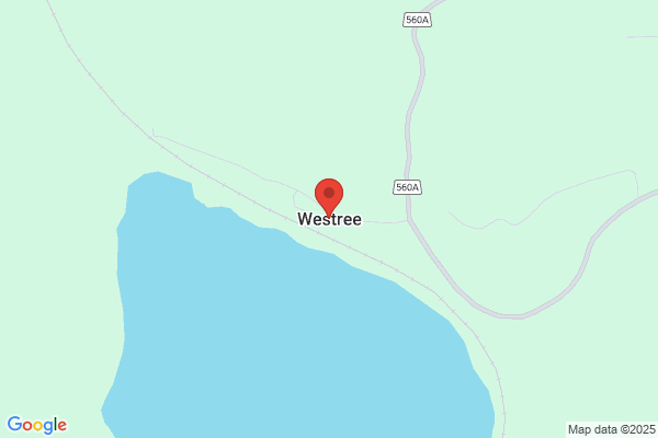 Westree Co