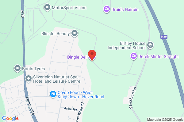 Dingle Dell Ltd
