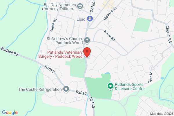 Putlands Veterinary Surgery - Paddock Wood