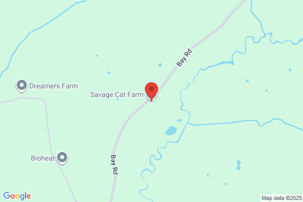 M K Savage
