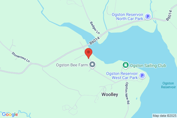 Ogston Cattery
