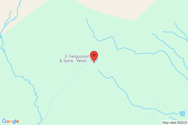 E Fergusson & Sons