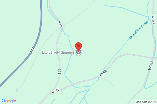 Scotlay Farm Eggs Ltd