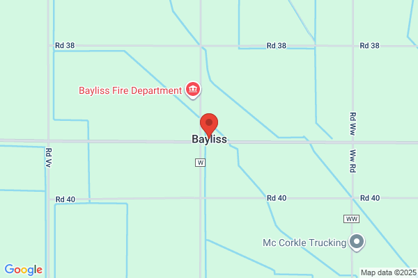 C A Baylis