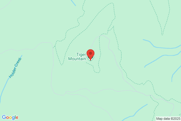 Mountain Tiger
