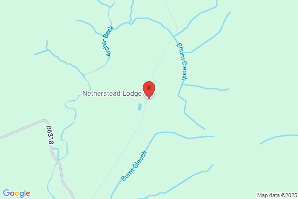 Newstead Cattery