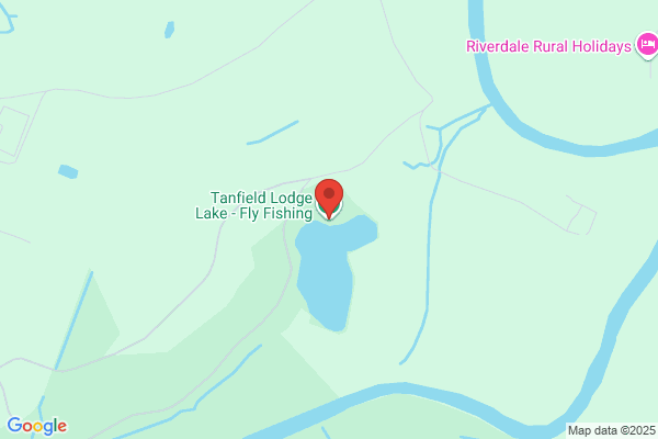 Fly Fishing