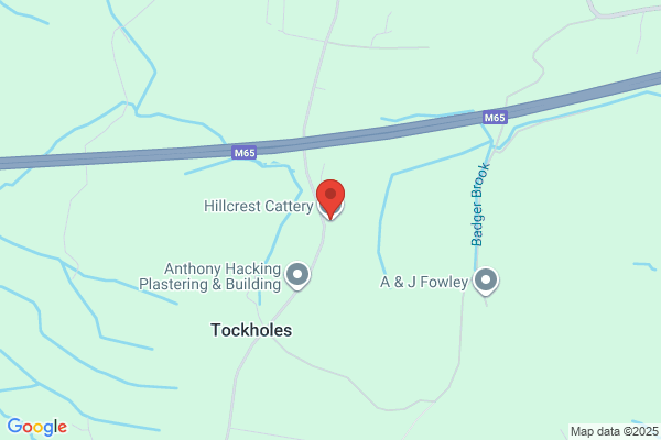 Hillcrest Cattery