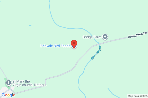 D Bird