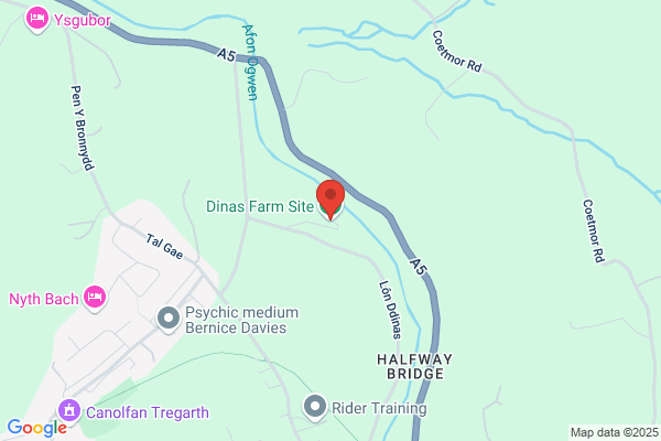Dinas Farm Site