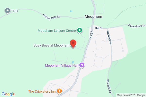 Busy Bees at Meopham