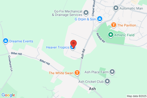 Ash Grooming Centre