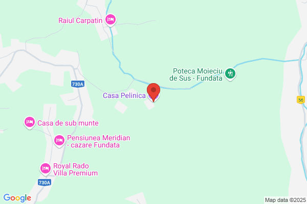 Casa Pilinca