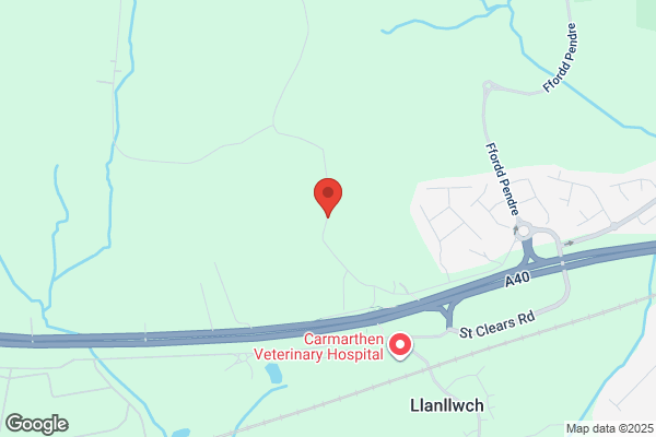 Dyfed Farm Vets - Carmarthen
