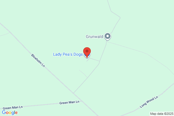 Lady Pea's Dogs