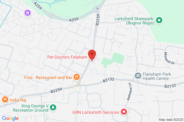 Pet Doctors Felpham