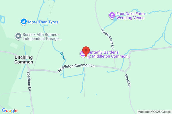 Middleton Stores