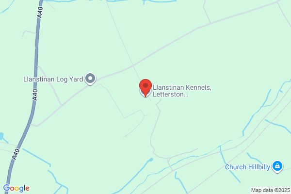 Liddeston House Kennels