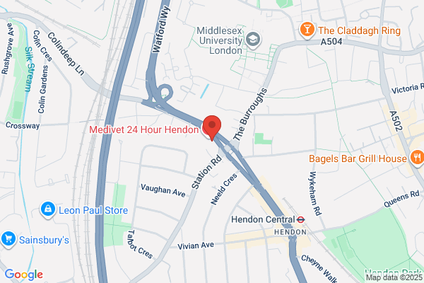 The British Hernia Centre