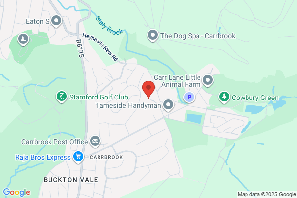 Buckton Vale Primary School
