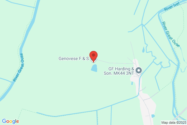 S & F Genovese