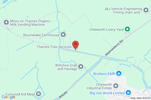 Thames Tree Services