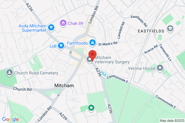 International Dental Centre Mitcham
