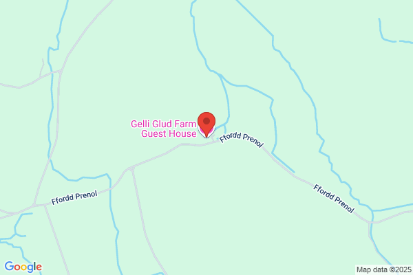 Gelli Glud Farm Guest House