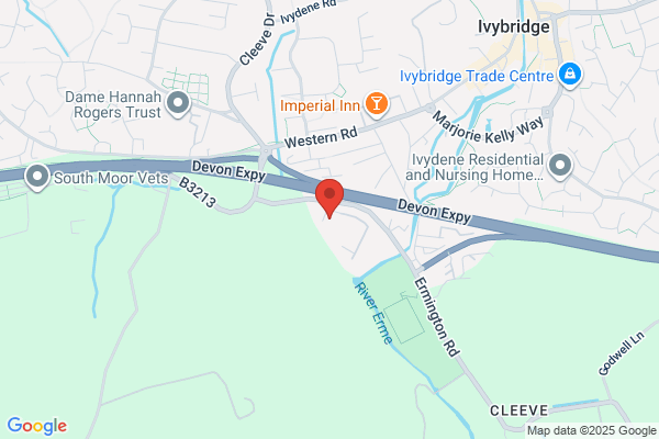 IVYBRIDGE TYRES