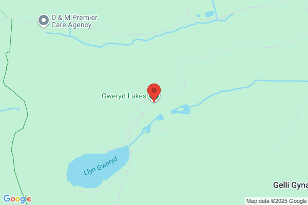Gweryd Lakes Fishing