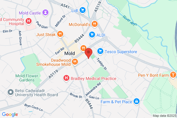 Mold Clinic