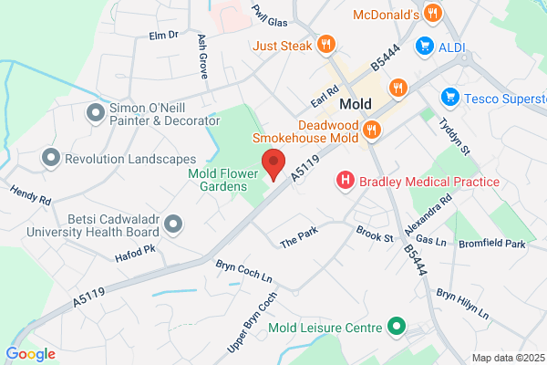 Mold Motor Services