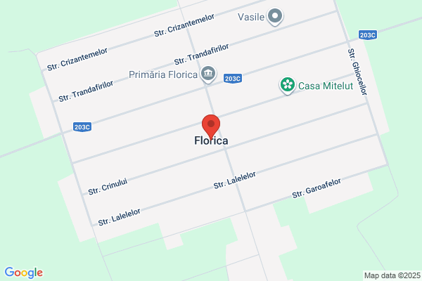 Florica