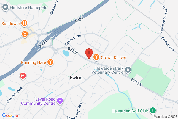 The Liver Inn