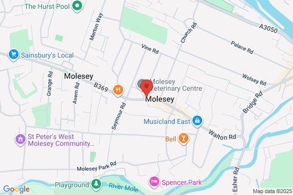 Electro (West Molesey)