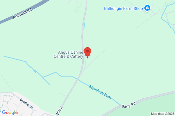 Angus Canine Centre & Cattery