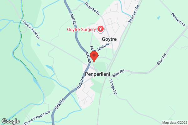 Goytre Store