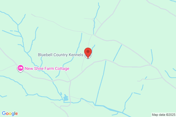 Raglan Boarding Kennels