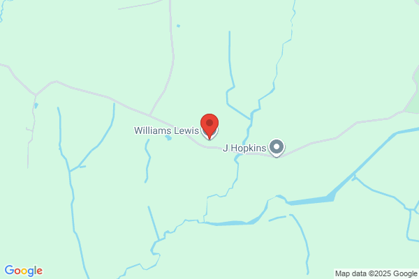 Lewis Williams