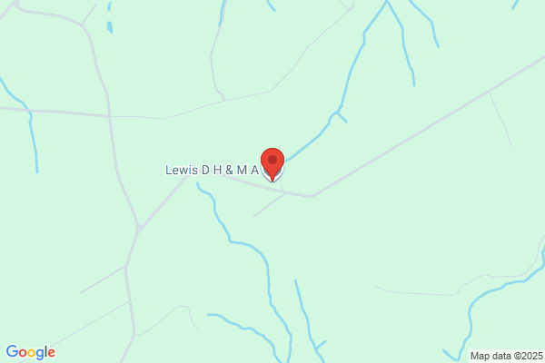 D H Lewis